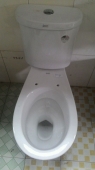 Bàn Cầu American Standard